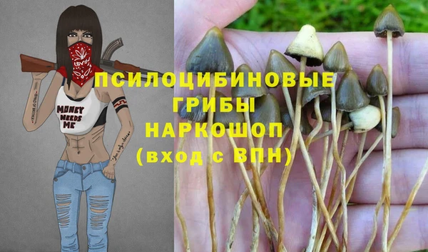 a pvp Абинск
