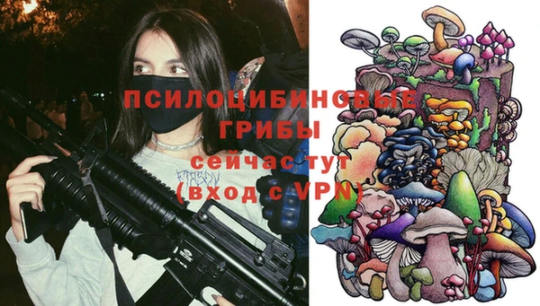 a pvp Абинск