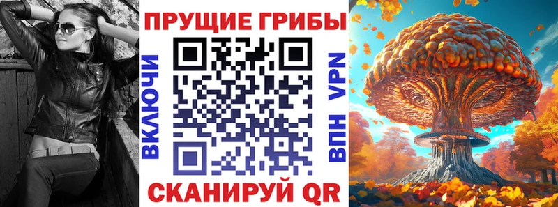 МЕГА tor Электросталь Псилоцибиновые грибы Cubensis